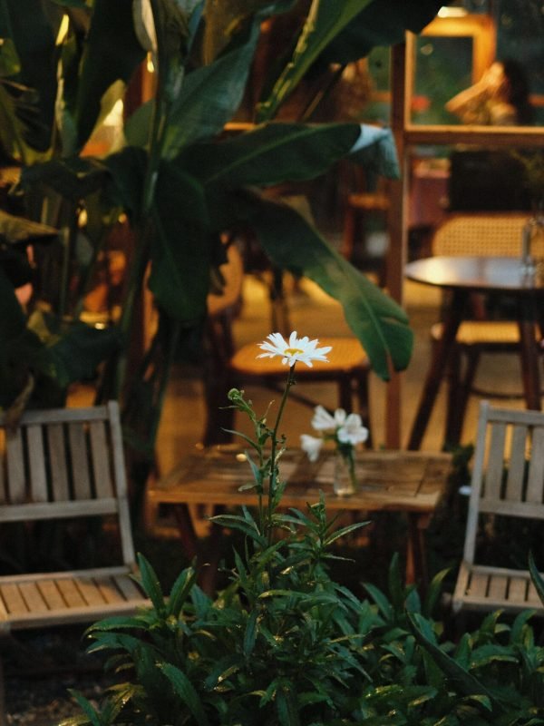 lawn-garden-patio-outdoor-living Cozy outdoor patio with wooden chairs, tables, potted plants, and lush garden greenery.